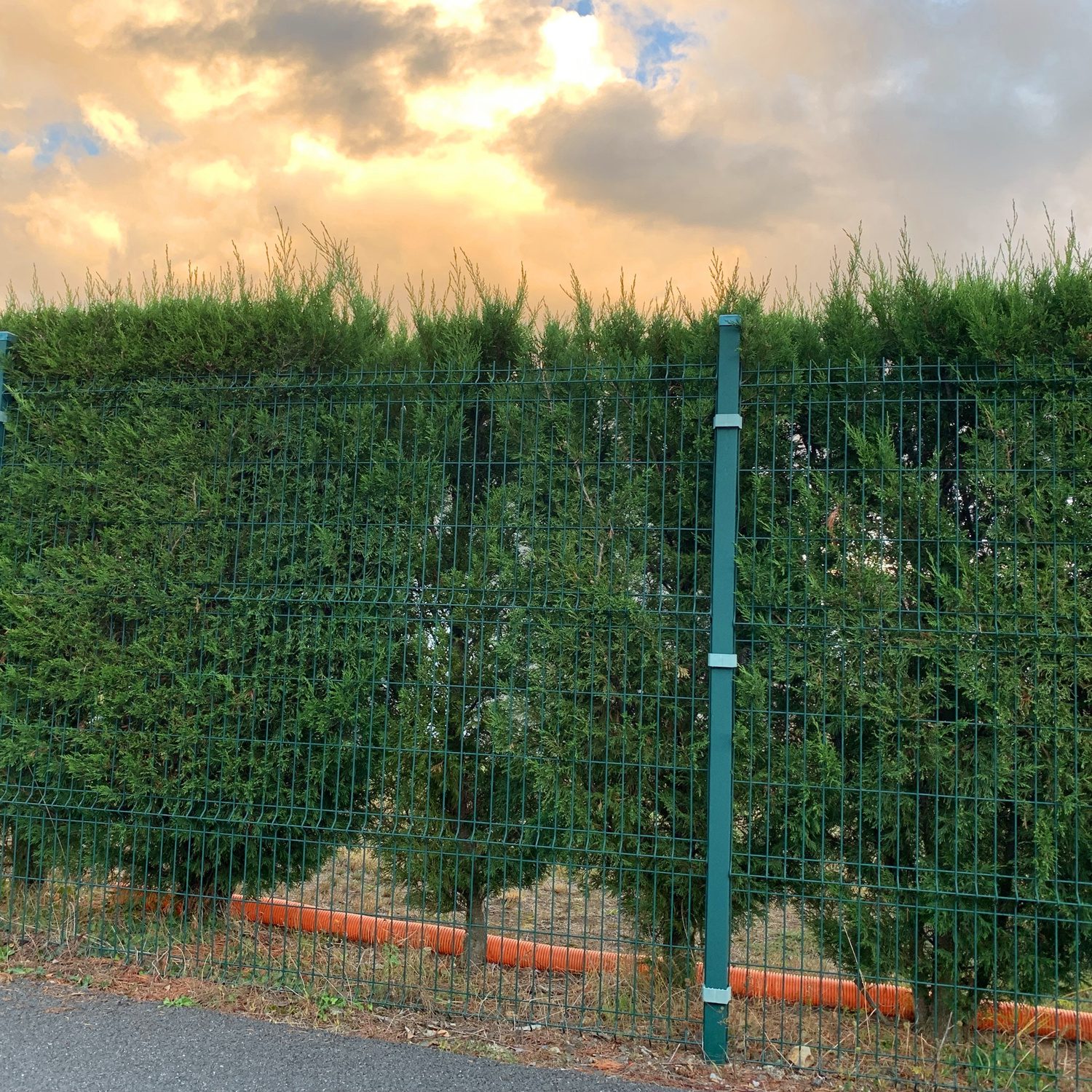 Round galvanised steel posts, Aluminum 3D fence with peach posts - Image 11