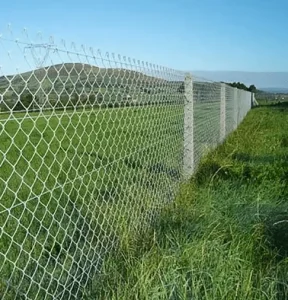 Farm wire mesh fence, Galvanized wire mesh fence