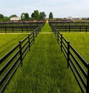 Steel horse fence, Heavy-duty metal horse panel fence