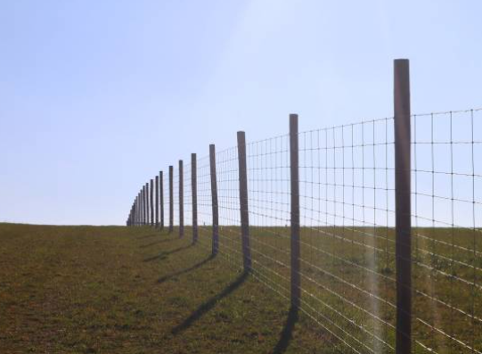 Farm Wire Mesh Fence - Image 3