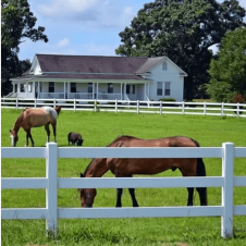 Ranch Rail Fence